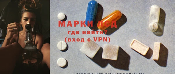 шишки Заводоуковск