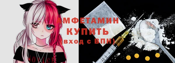 шишки Заводоуковск
