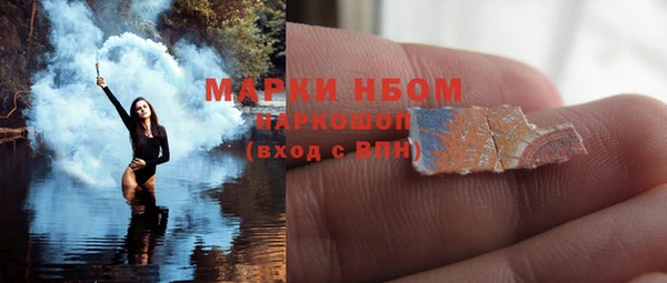шишки Заводоуковск