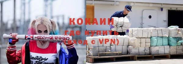 МДПВ Пересвет