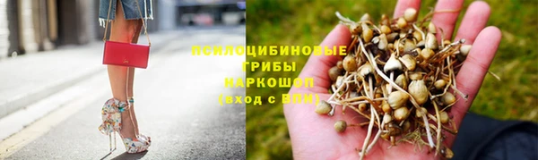 шишки Заводоуковск