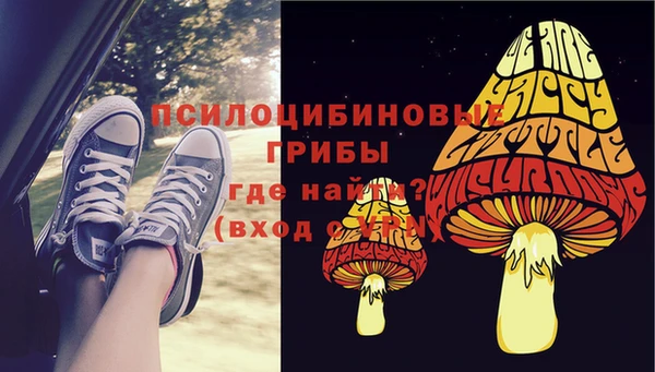 шишки Заводоуковск