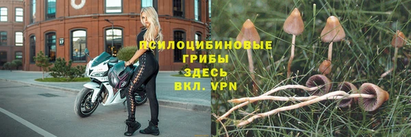 шишки Заводоуковск