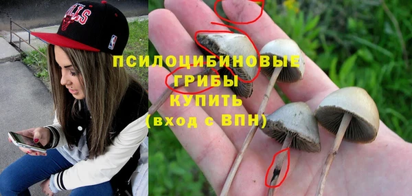 шишки Заводоуковск