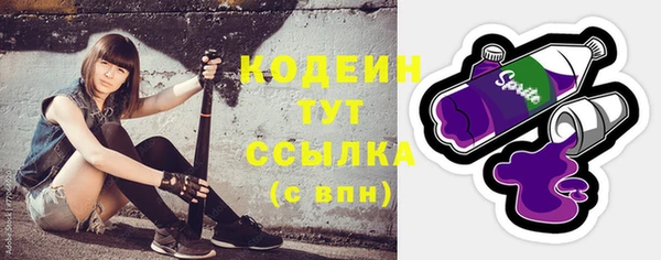 шишки Заводоуковск