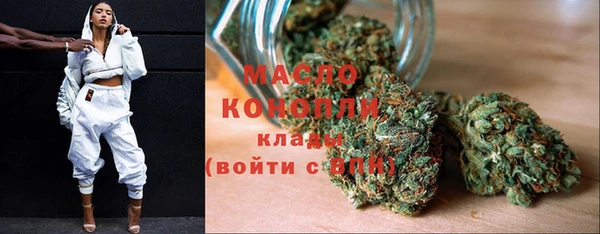 шишки Заводоуковск