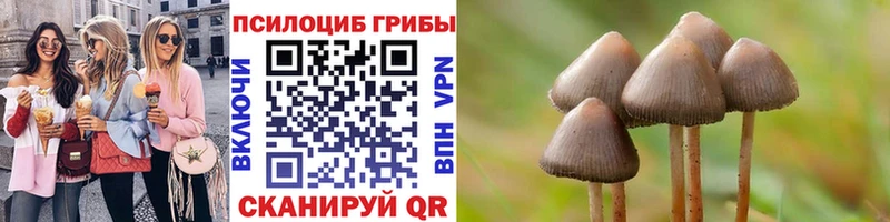 Псилоцибиновые грибы мицелий  Купить  Верхний Тагил 